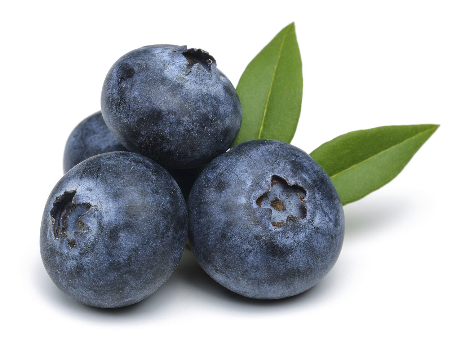Blueberry